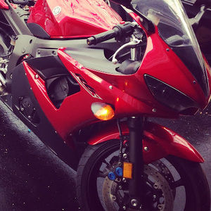 Meet your Posher, Damon